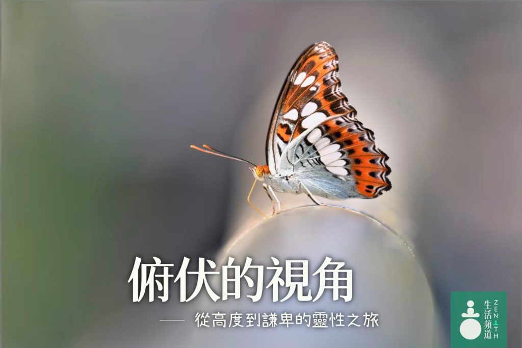 蝴蝶教會他的謙卑與視角轉變。 從「高高在上」到「俯伏下來」，從「向下看」到「平等的視線」，這是一個關於靈性覺醒、祈禱的應驗、恩典的體驗、以及如何用新的視角看待人生困境的故事。